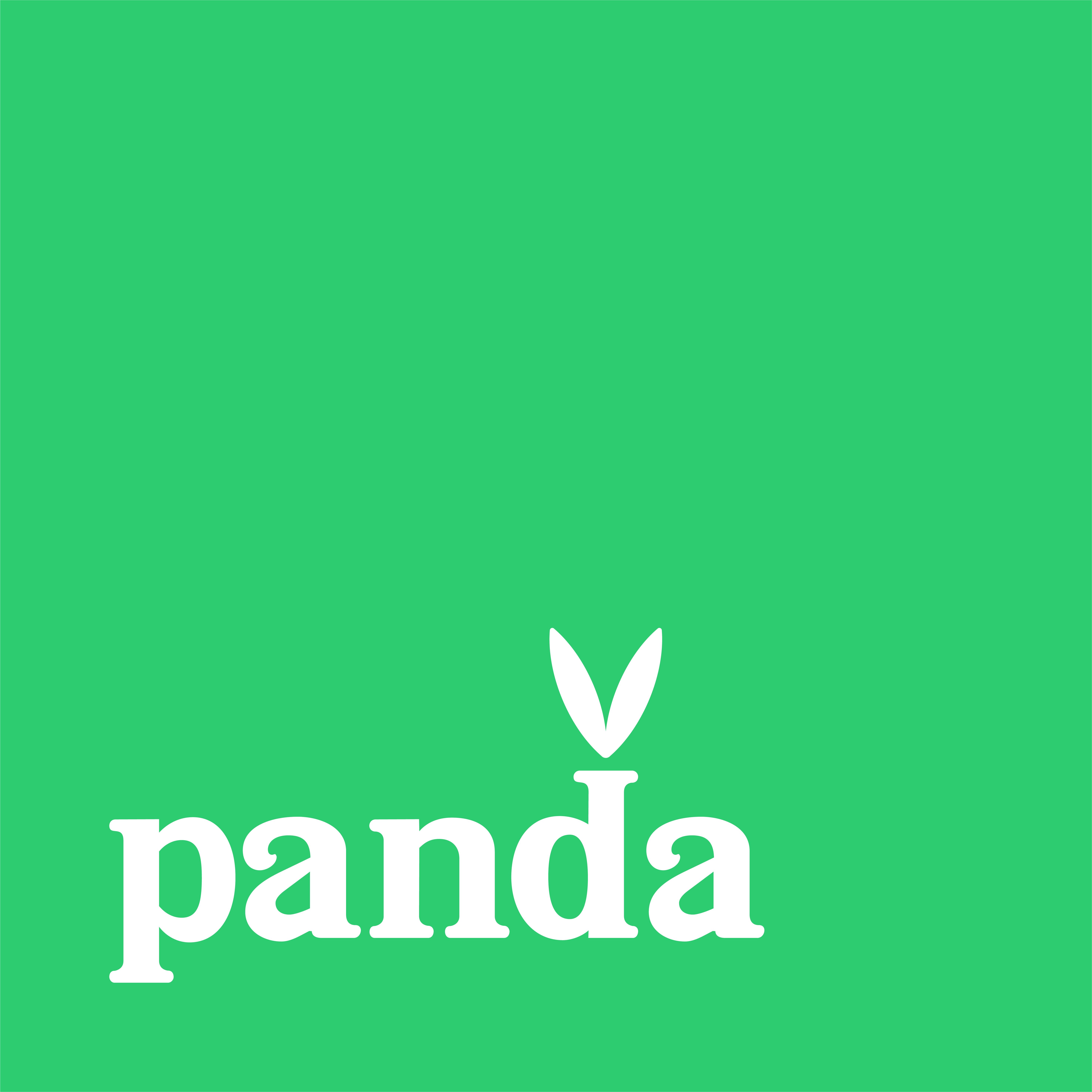 Panda Creative | Creative Design & Branding Agency
